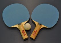 Kvalifikácia na MS v Ping pongu 2016